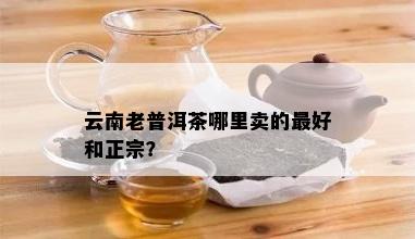 云南老普洱茶哪里卖的更好和正宗？