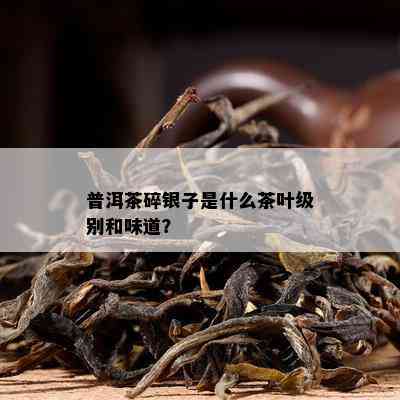 普洱茶碎银子是什么茶叶级别和味道？