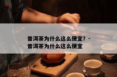 普洱茶为什么这么便宜？-普洱茶为什么这么便宜