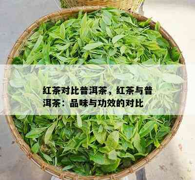 红茶对比普洱茶，红茶与普洱茶：品味与功效的对比