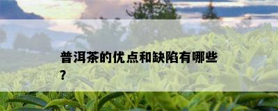 普洱茶的优点和缺陷有哪些？