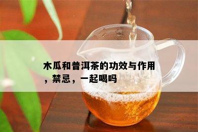 木瓜和普洱茶的功效与作用，禁忌，一起喝吗