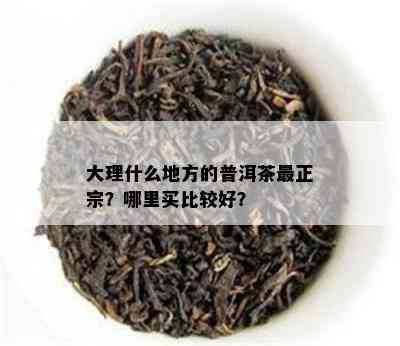 大理什么地方的普洱茶最正宗？哪里买比较好？