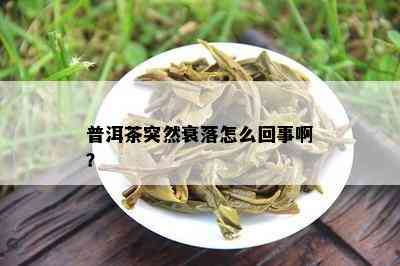 普洱茶突然衰落怎么回事啊？