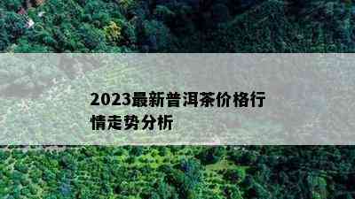 2023最新普洱茶价格行情走势分析