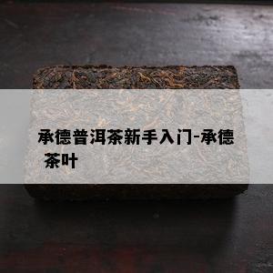 承德普洱茶新手入门-承德 茶叶