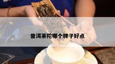 普洱茶陀哪个牌子好点