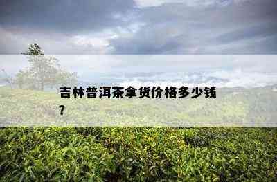 吉林普洱茶拿货价格多少钱？