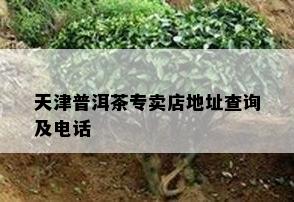 天津普洱茶专卖店地址查询及电话