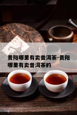 贵阳哪里有卖普洱茶-贵阳哪里有卖普洱茶的