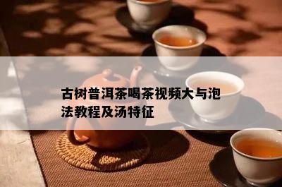 古树普洱茶喝茶视频大与泡法教程及汤特征