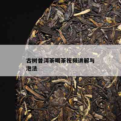 古树普洱茶喝茶视频讲解与泡法