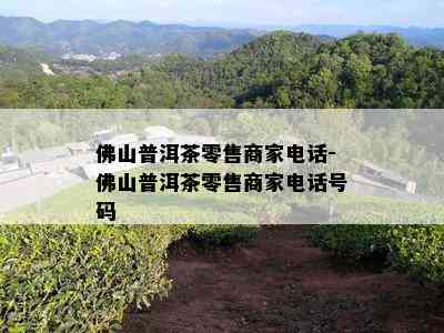 佛山普洱茶零售商家电话-佛山普洱茶零售商家电话号码