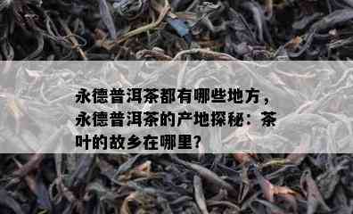 永德普洱茶都有哪些地方，永德普洱茶的产地探秘：茶叶的故乡在哪里？