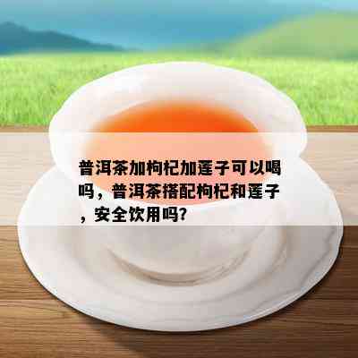 普洱茶加枸杞加莲子可以喝吗，普洱茶搭配枸杞和莲子，安全饮用吗？