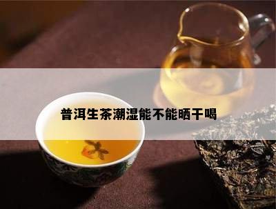 普洱生茶潮湿能不能晒干喝