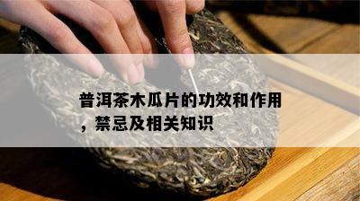 普洱茶木瓜片的功效和作用，禁忌及相关知识