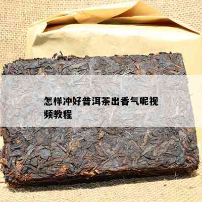 怎样冲好普洱茶出香气呢视频教程