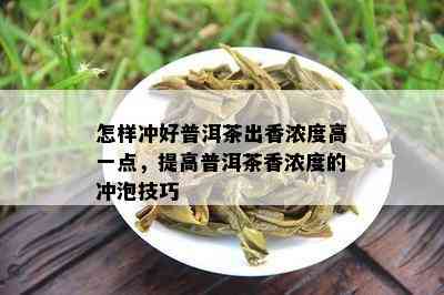 怎样冲好普洱茶出香浓度高一点，提高普洱茶香浓度的冲泡技巧