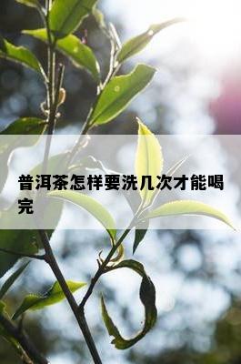 普洱茶怎样要洗几次才能喝完