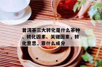 普洱茶三大转化是什么茶种、转化因素、关键因素，转化意思，靠什么成分