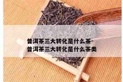 普洱茶三大转化是什么茶-普洱茶三大转化是什么茶类