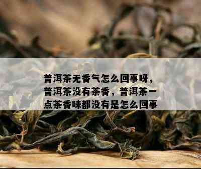 普洱茶无香气怎么回事呀，普洱茶没有茶香，普洱茶一点茶香味都没有是怎么回事