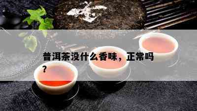 普洱茶没什么香味，正常吗？