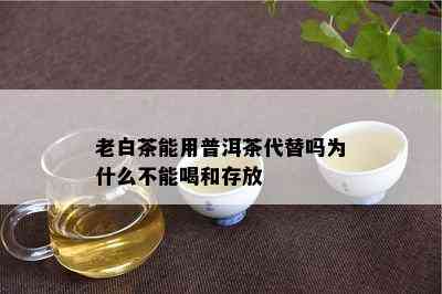 老白茶能用普洱茶代替吗为什么不能喝和存放