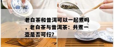 老白茶和普洱可以一起煮吗，老白茶与普洱茶：共煮一壶是否可行？