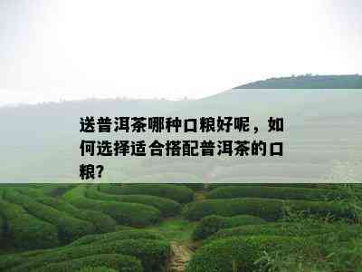 送普洱茶哪种口粮好呢，如何选择适合搭配普洱茶的口粮？