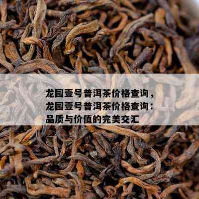 龙园壹号普洱茶价格查询，龙园壹号普洱茶价格查询：品质与价值的完美交汇