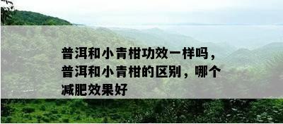 普洱和小青柑功效一样吗，普洱和小青柑的区别，哪个减肥效果好