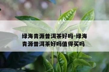 绿海青源普洱茶好吗-绿海青源普洱茶好吗值得买吗