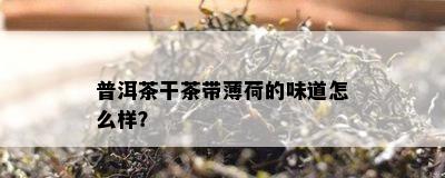 普洱茶干茶带薄荷的味道怎么样？