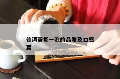 普洱茶每一泡的品鉴及口感篇