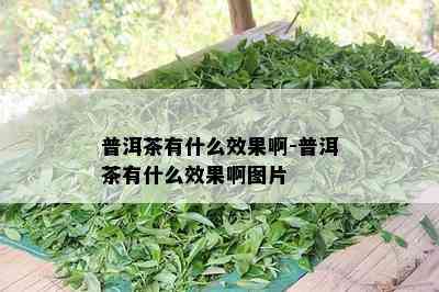 普洱茶有什么效果啊-普洱茶有什么效果啊图片