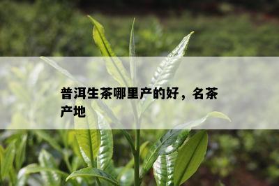 普洱生茶哪里产的好，名茶产地