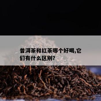 普洱茶和红茶哪个好喝,它们有什么区别？