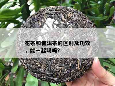 花茶和普洱茶的区别及功效，能一起喝吗？