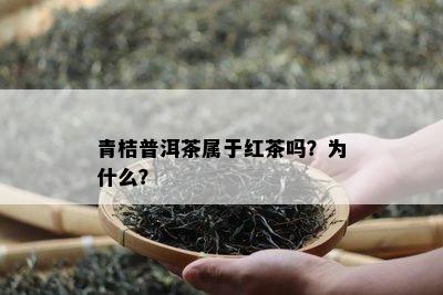 青桔普洱茶属于红茶吗？为什么？