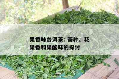 果香味普洱茶: 茶种、花果香和果酸味的探讨