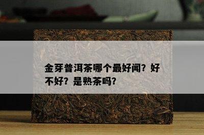 金芽普洱茶哪个更好闻？好不好？是熟茶吗？