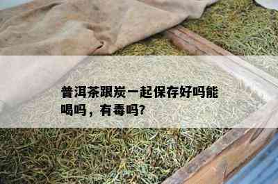 普洱茶跟炭一起保存好吗能喝吗，有吗？