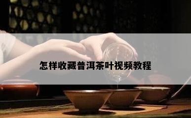 怎样收藏普洱茶叶视频教程