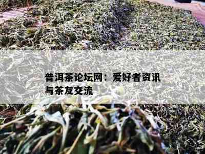 普洱茶论坛网：爱好者资讯与茶友交流