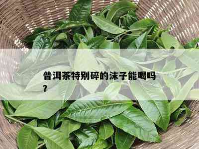 普洱茶特别碎的沫子能喝吗？