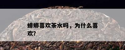 蟑螂喜欢茶水吗，为什么喜欢？