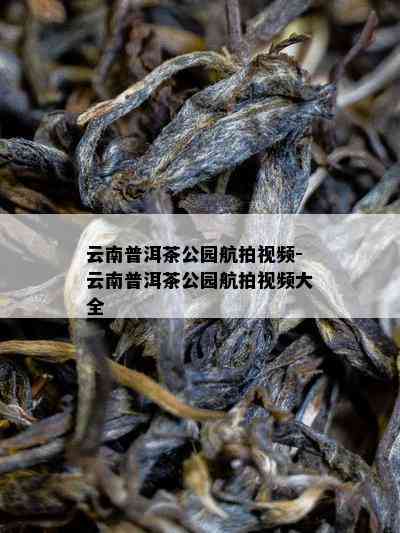 云南普洱茶公园航拍视频-云南普洱茶公园航拍视频大全