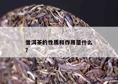 普洱茶的性质和作用是什么？